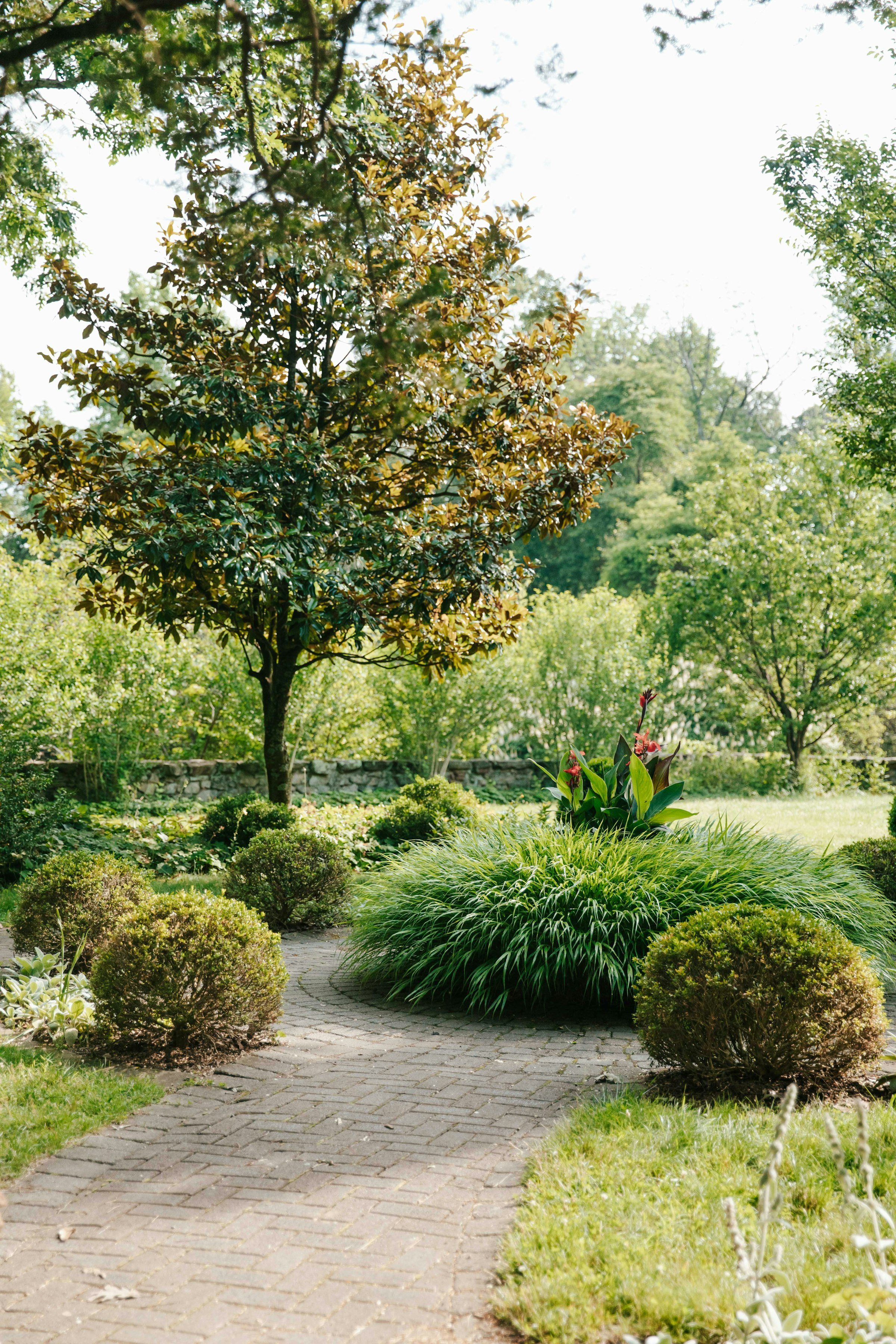 A soft green garden in bloom