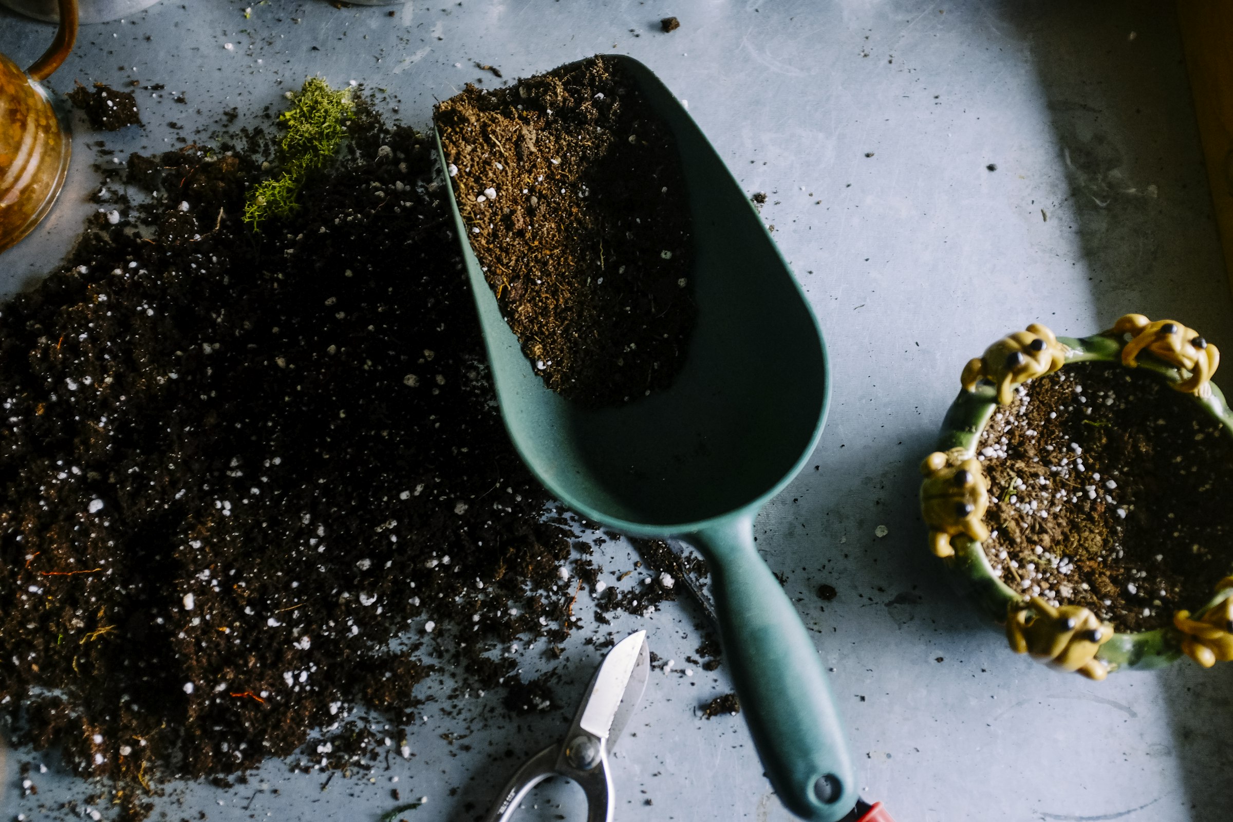 Hands planting into soil
